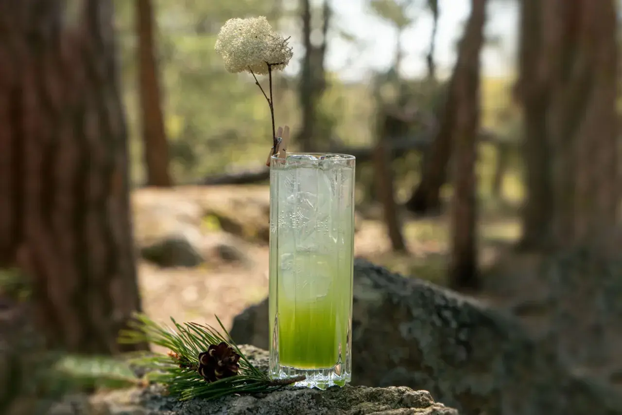 En uppfriskande granskottssirap drink med is, dekorerad med en torkad blomma och en kotte på en sten i skogen.